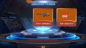 关小雨最新爆料,揭秘娱乐圈惊人内幕