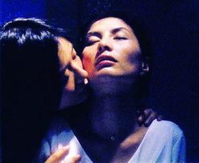 蝴蝶在线观看何超仪